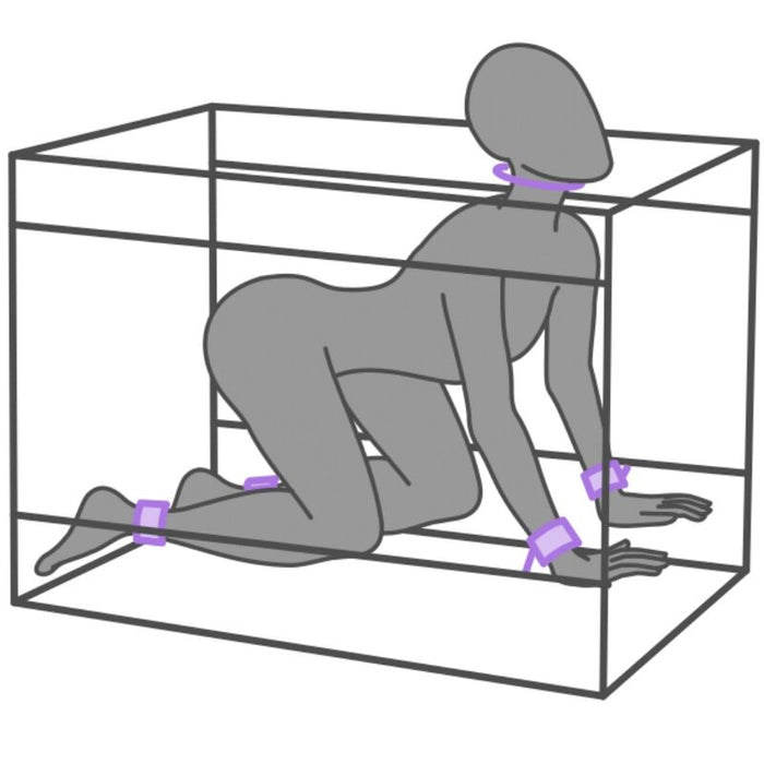 SECRET DOME - KINK CLUB LA NICHE CABIN PURPLE