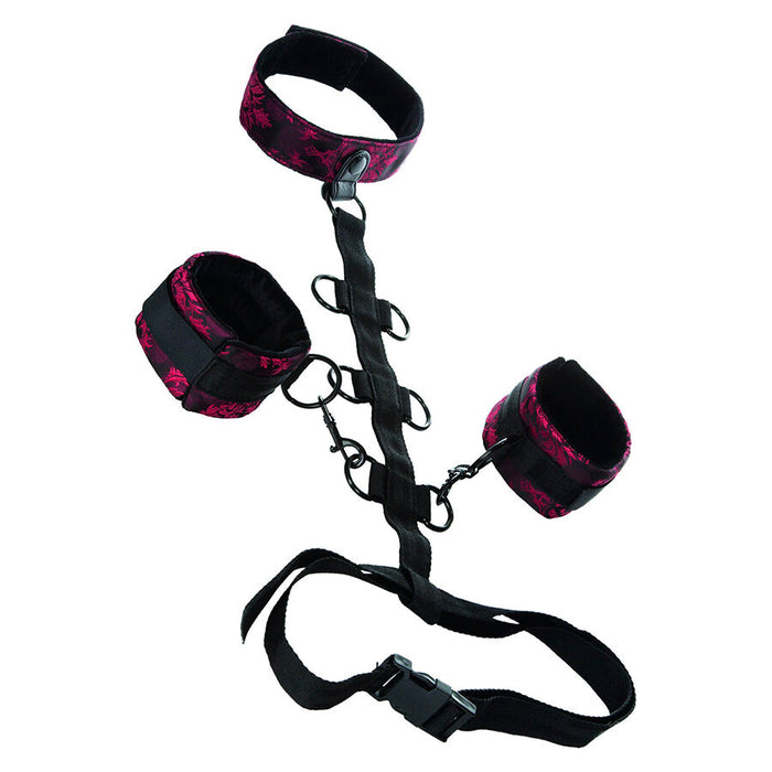 CALEXOTICS - SCANDAL COMPORAL SUPPORT WITH NECK